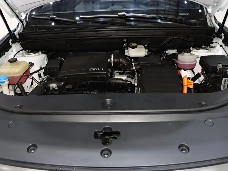 BYD Pro New Energy — фото 19