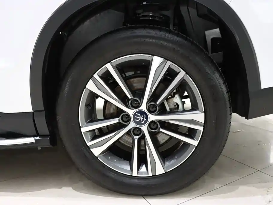 BYD Pro New Energy — фото 20