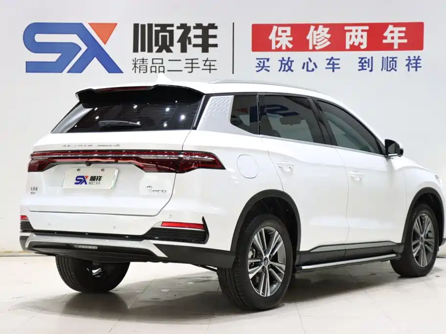 BYD Pro New Energy — фото 4