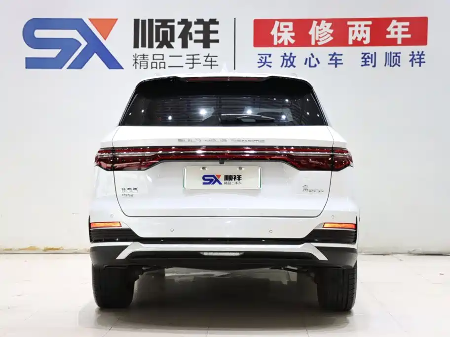 BYD Pro New Energy — фото 5
