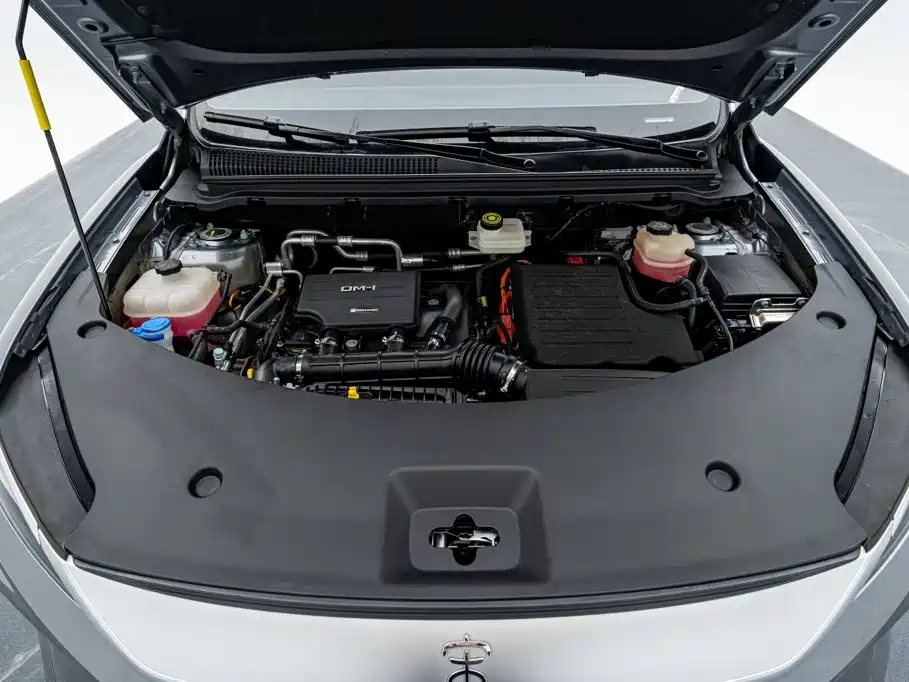 BYD Pro New Energy — фото 18