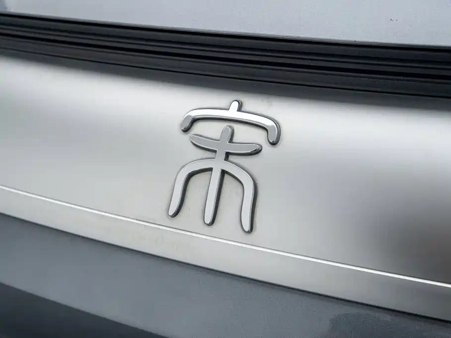BYD Pro New Energy — фото 19