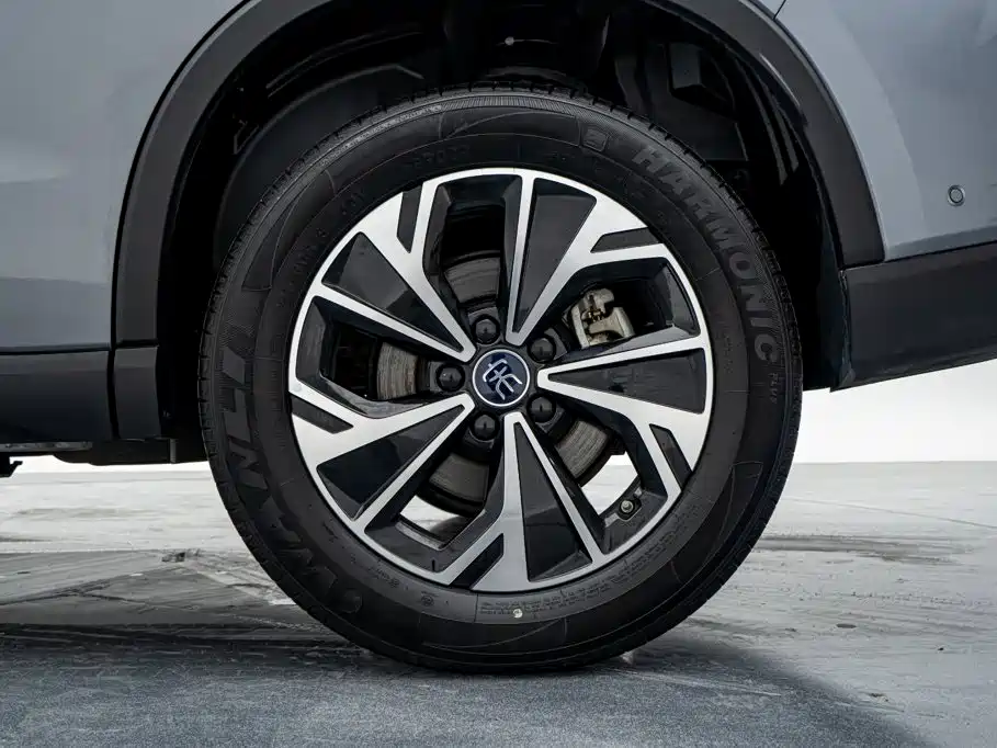 BYD Pro New Energy — фото 23