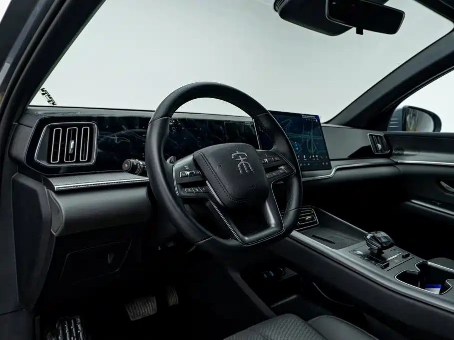 BYD Pro New Energy — фото 10
