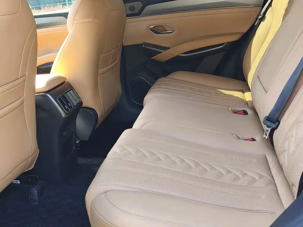 BYD L DM-i — фото 11