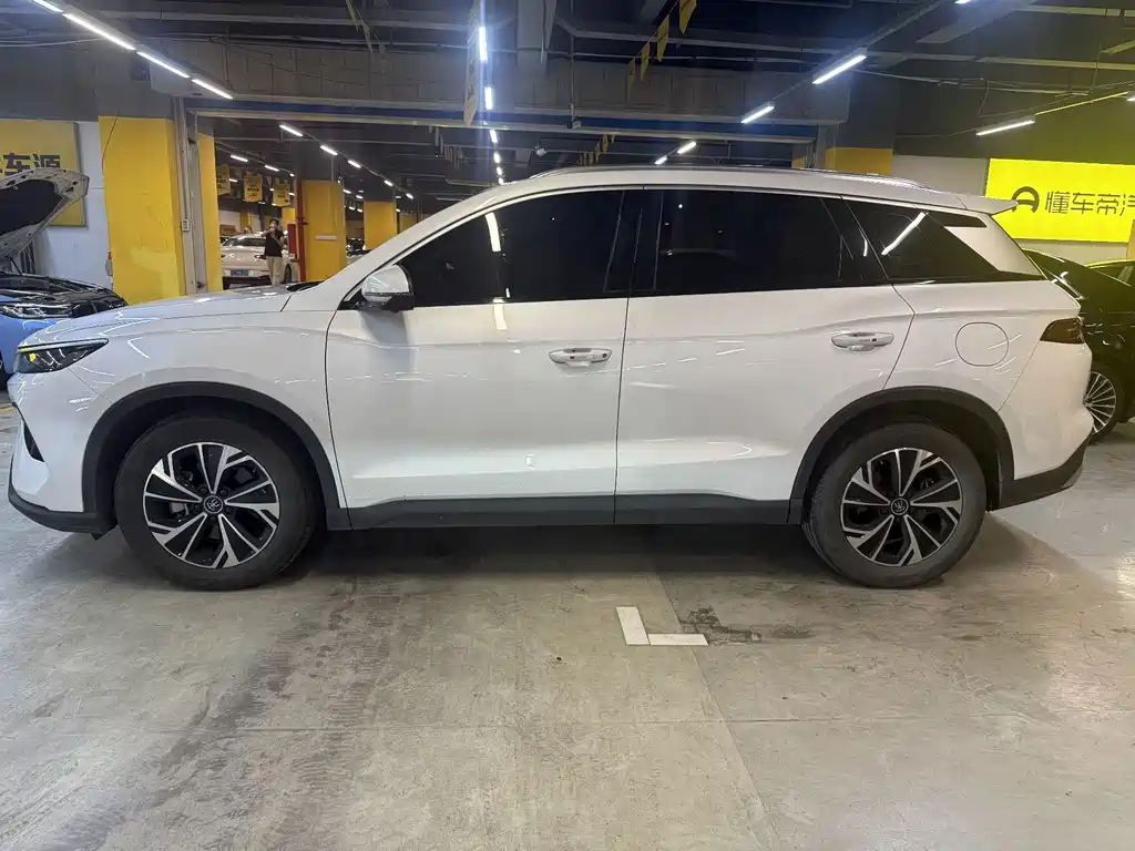 BYD Pro New Energy — фото 2