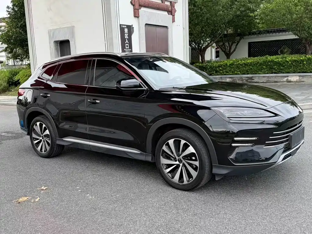 BYD PLUS New Energy — фото 3