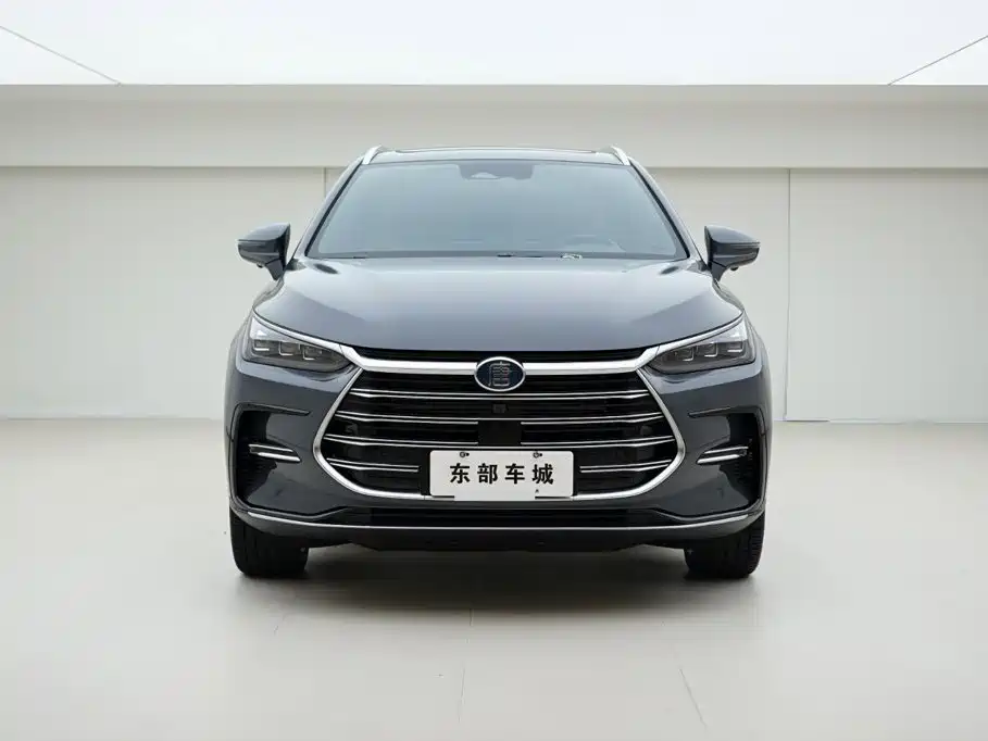 BYD Tang New Energy — фото 2