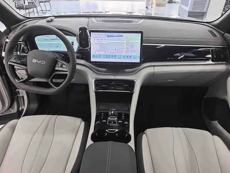 BYD PLUS New Energy — фото 5