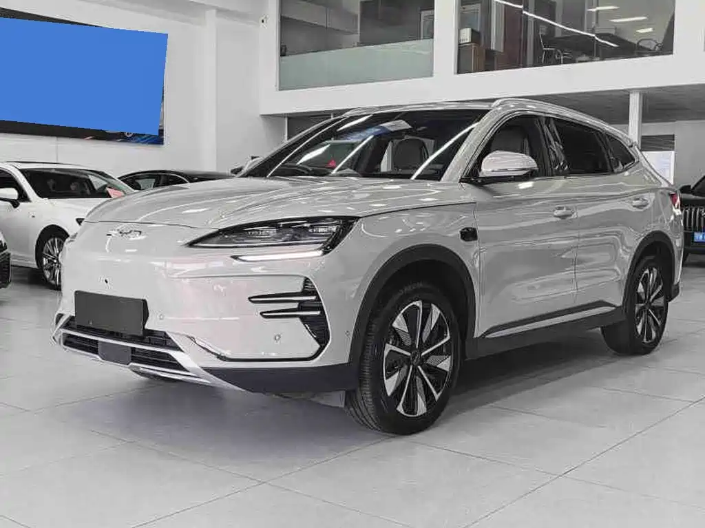 BYD PLUS New Energy