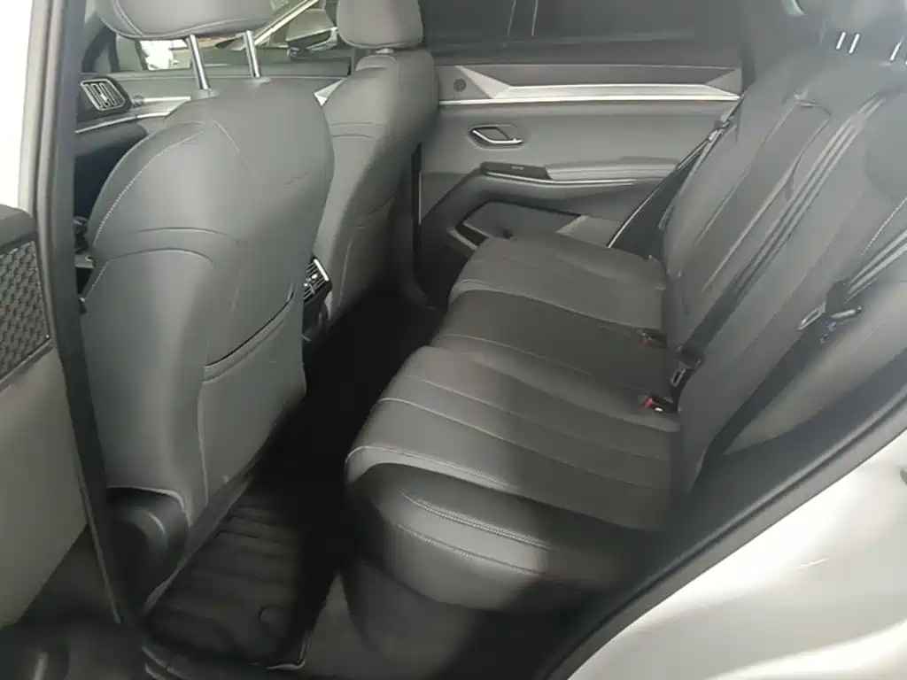 BYD Pro New Energy — фото 17