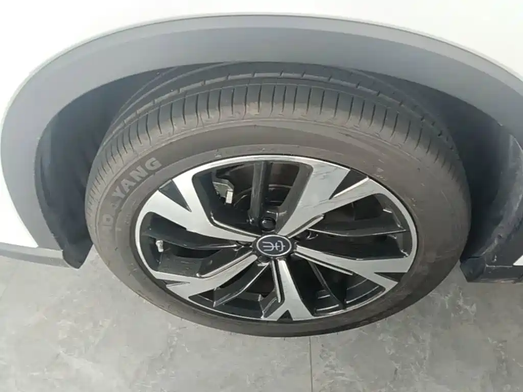 BYD Pro New Energy — фото 23