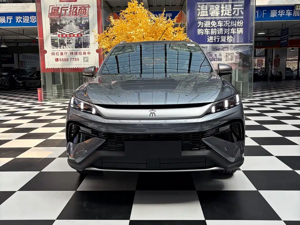 BYD Pro New Energy — фото 2