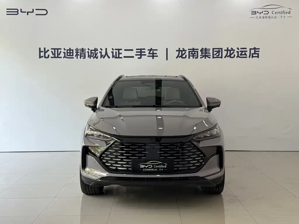 BYD Tang New Energy — фото 2