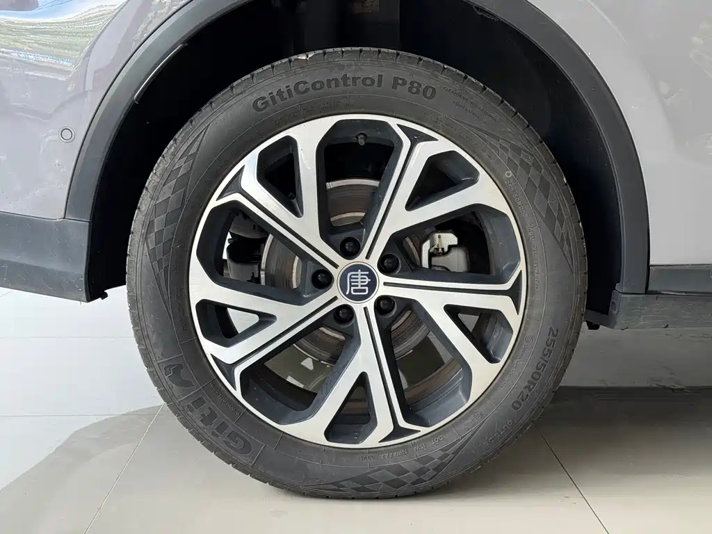 BYD Tang New Energy — фото 11
