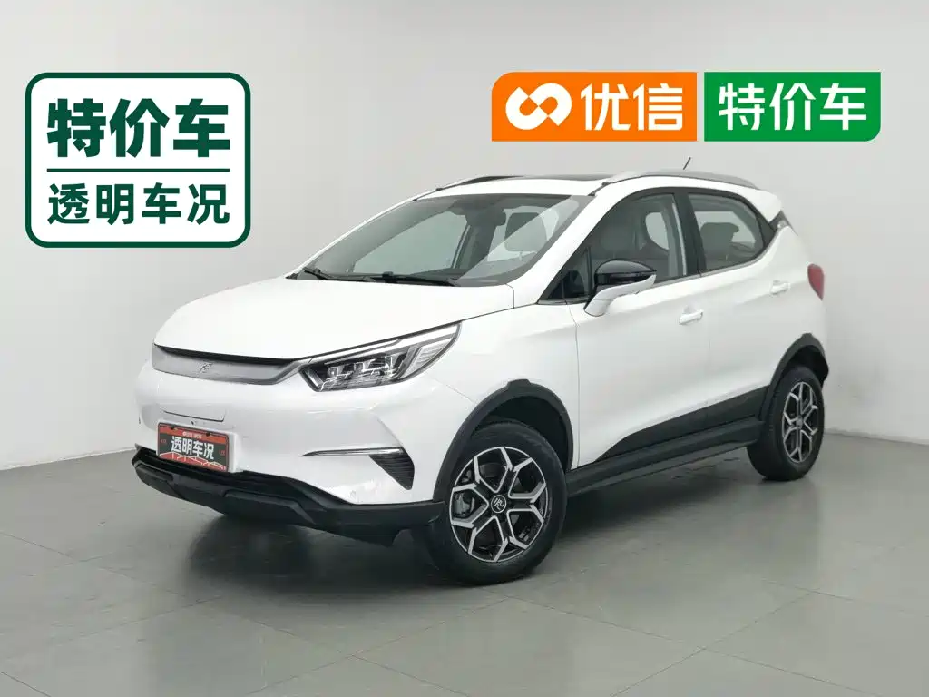 BYD Yuan Pro