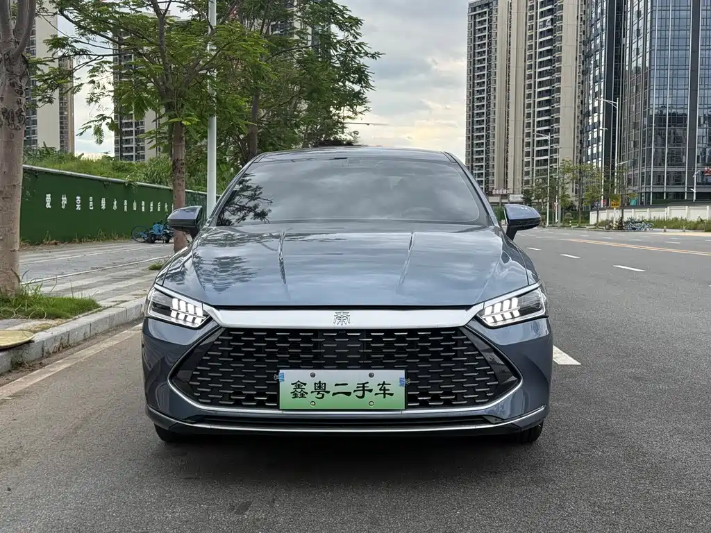 BYD Qin PLUS — фото 2