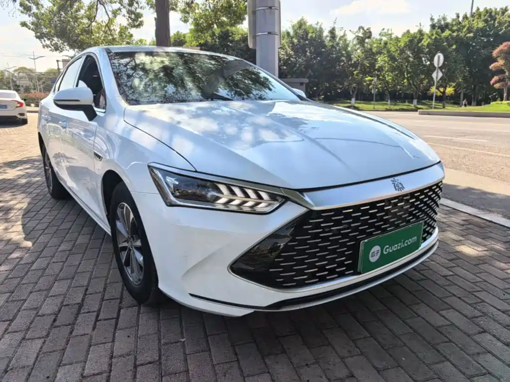 BYD Qin PLUS — фото 4