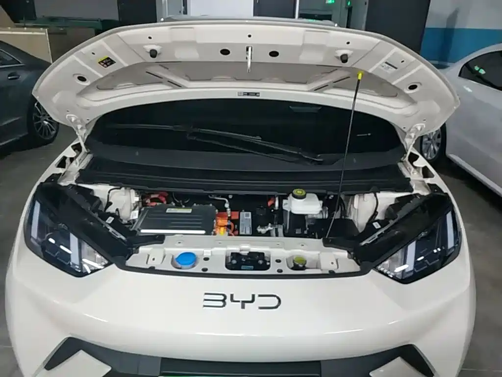 BYD Seagull — фото 20
