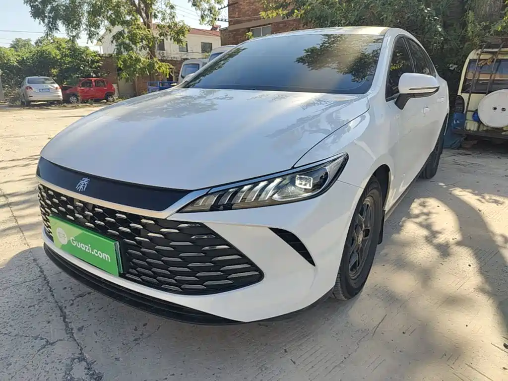 BYD Qin PLUS — фото 2