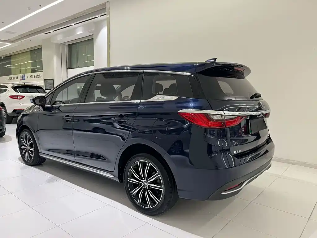 BYD MAX New Energy — фото 4