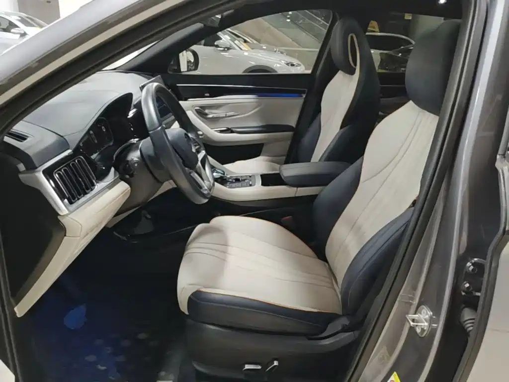 BYD PLUS New Energy — фото 15