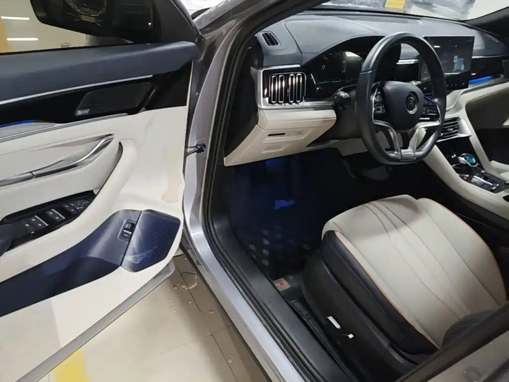 BYD PLUS New Energy — фото 16