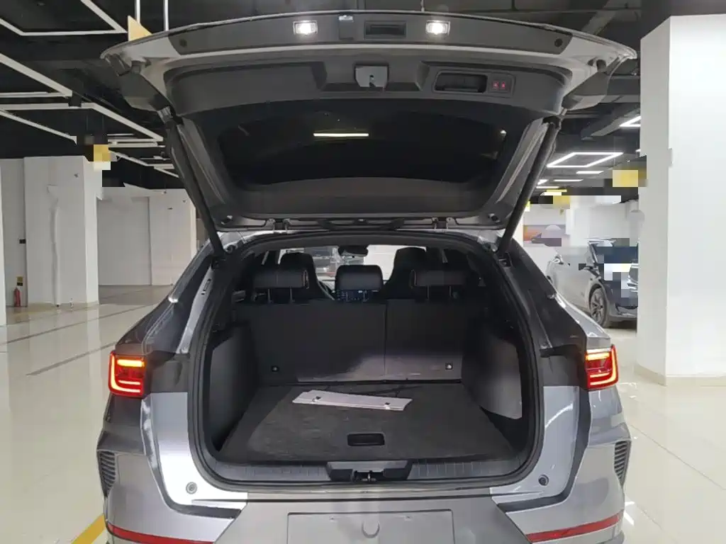 BYD PLUS New Energy — фото 19