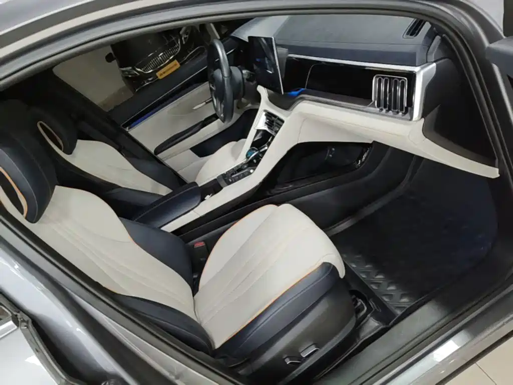 BYD PLUS New Energy — фото 25