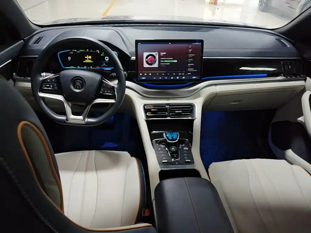 BYD PLUS New Energy — фото 10
