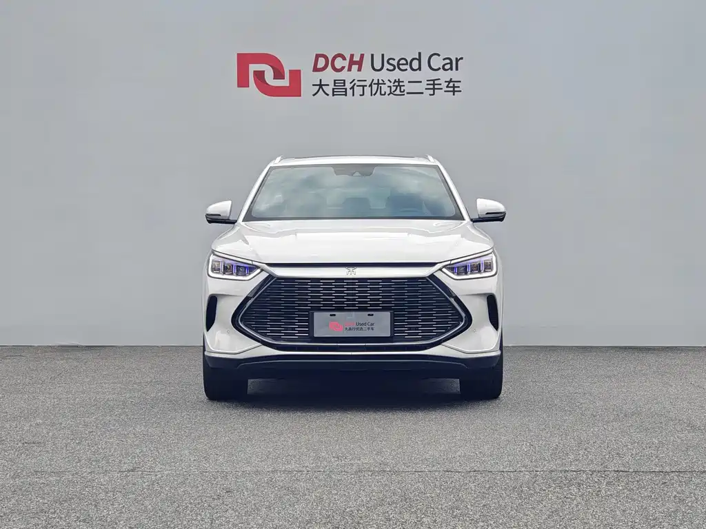 BYD PLUS New Energy — фото 2