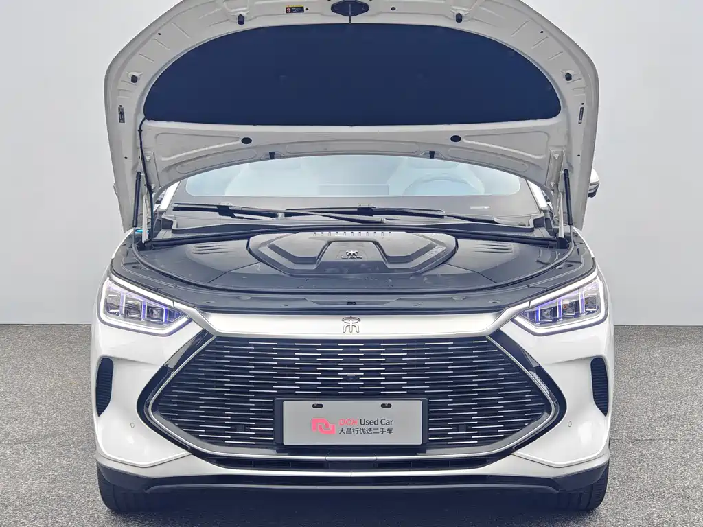 BYD PLUS New Energy — фото 11