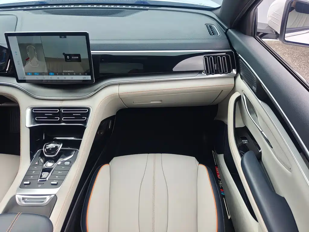 BYD PLUS New Energy — фото 15