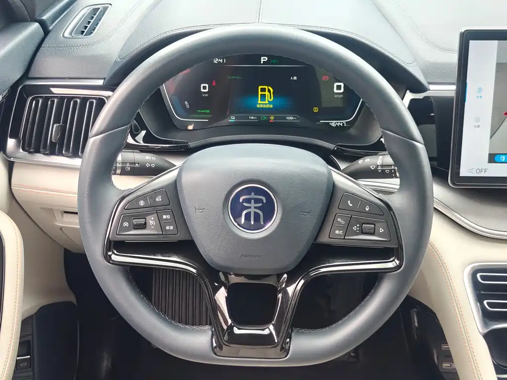 BYD PLUS New Energy — фото 16