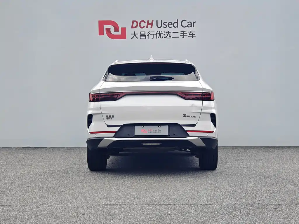 BYD PLUS New Energy — фото 4