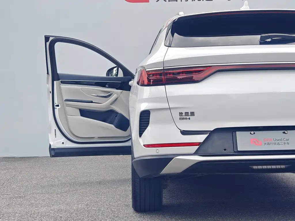 BYD PLUS New Energy — фото 9