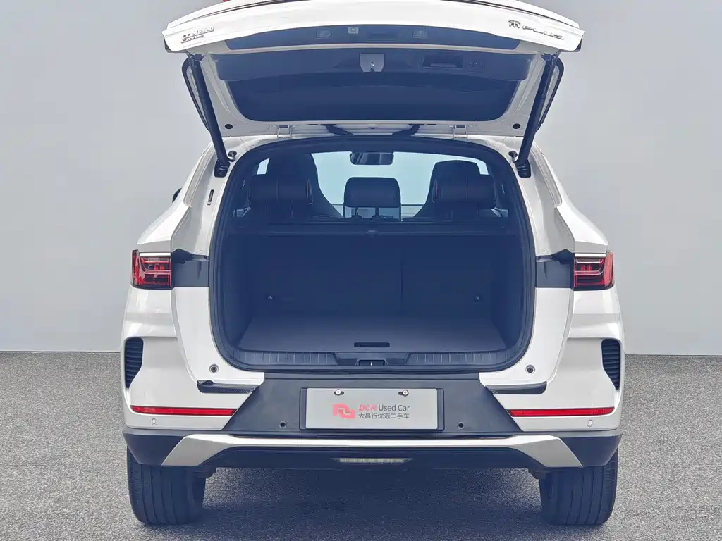 BYD PLUS New Energy — фото 10