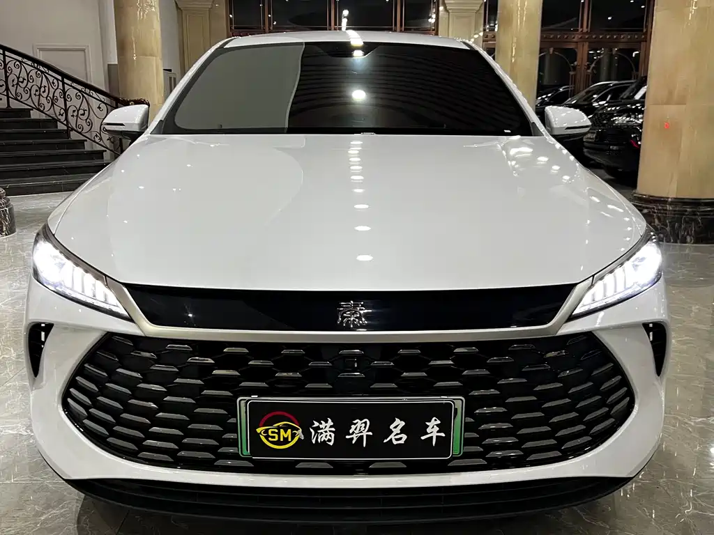 BYD Qin PLUS — фото 2