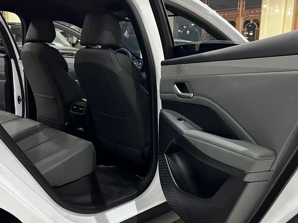 BYD Qin PLUS — фото 14