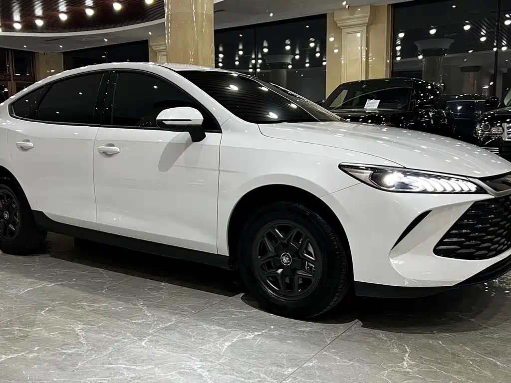 BYD Qin PLUS — фото 3