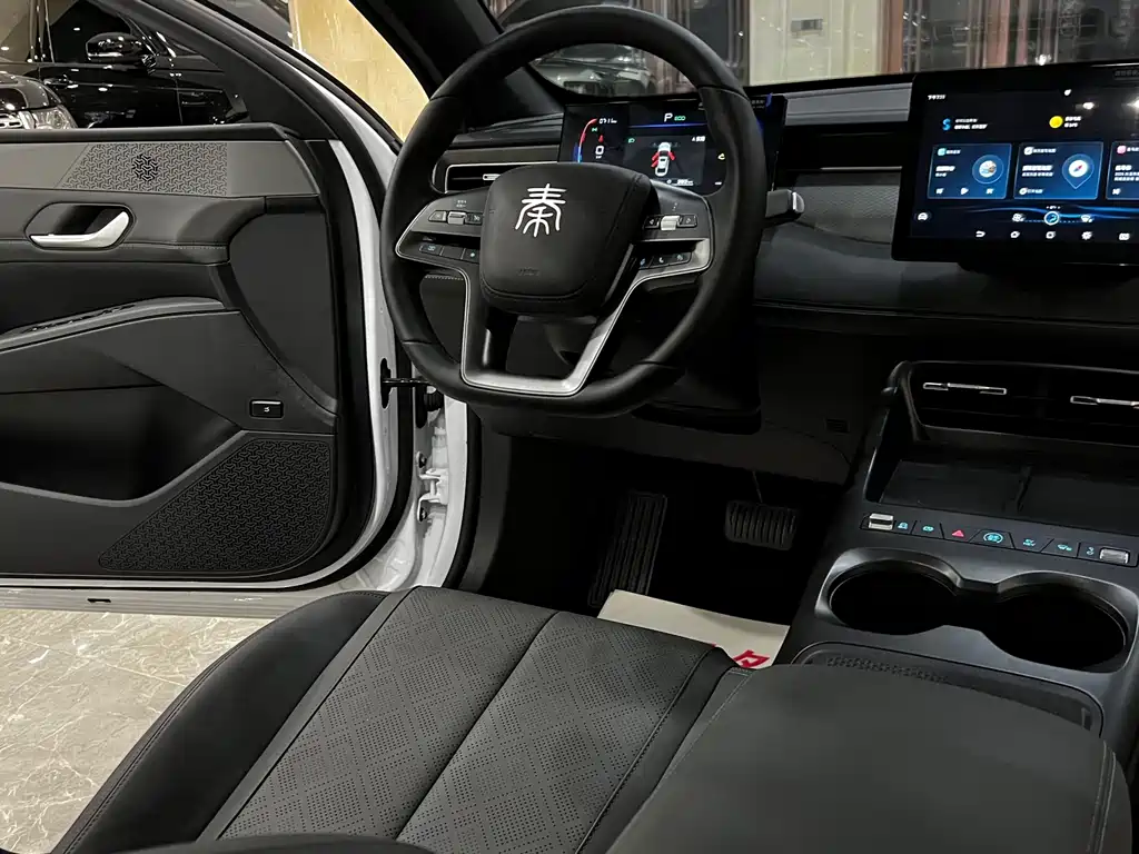 BYD Qin PLUS — фото 21