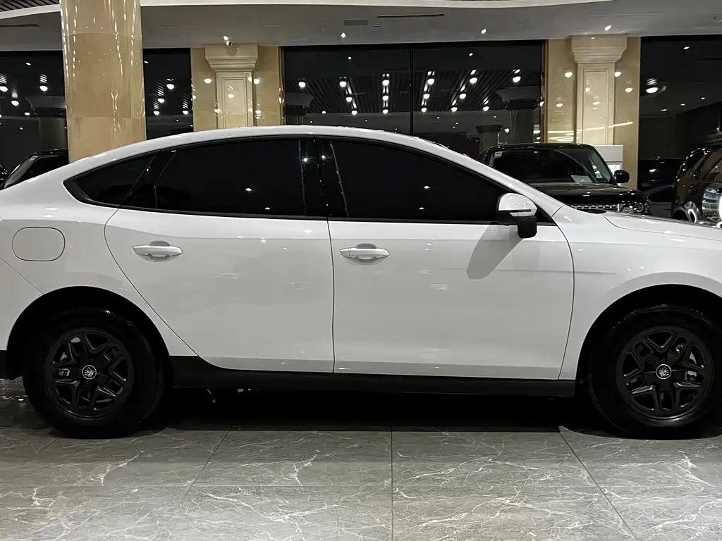 BYD Qin PLUS — фото 4