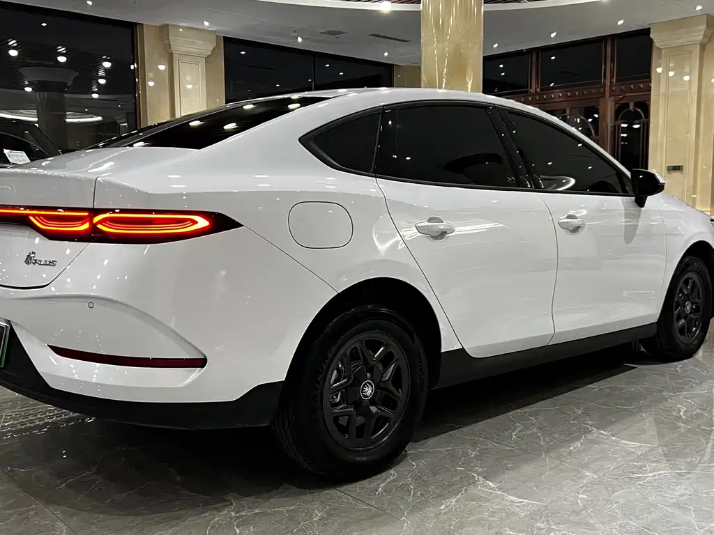 BYD Qin PLUS — фото 5