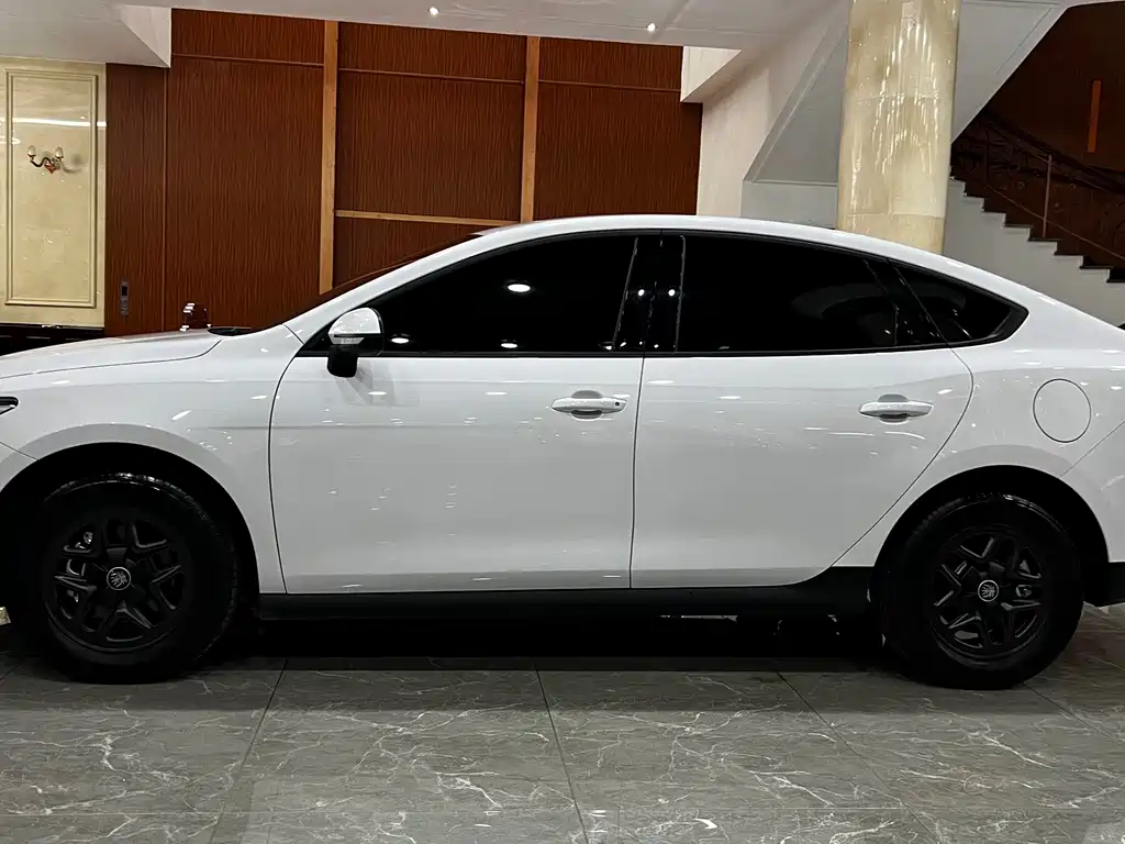 BYD Qin PLUS — фото 8
