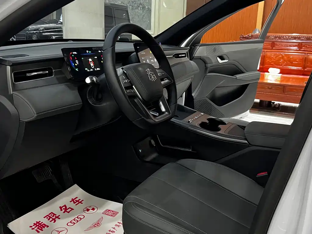 BYD Qin PLUS — фото 10