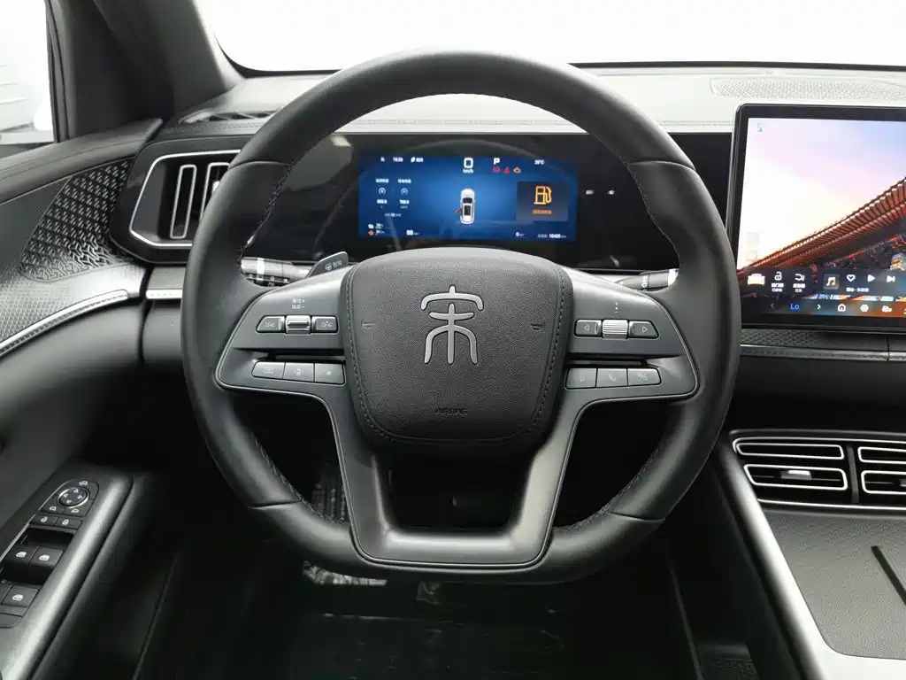 BYD Pro New Energy — фото 11