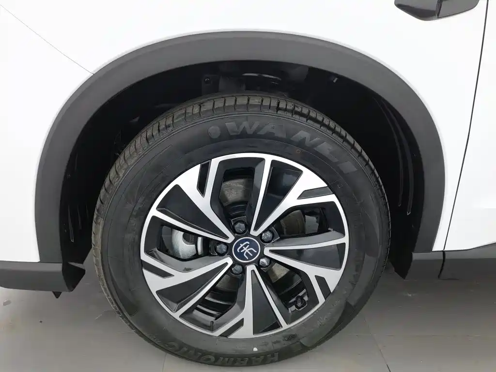 BYD Pro New Energy — фото 17