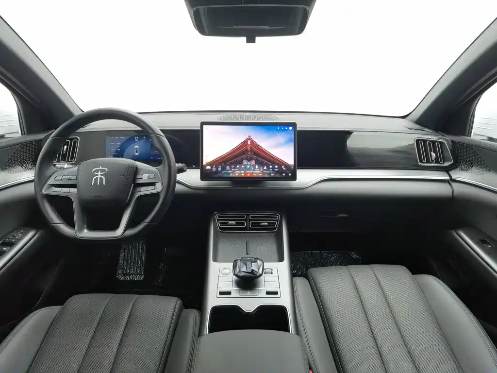 BYD Pro New Energy — фото 5