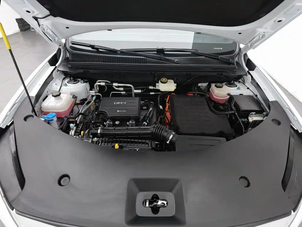 BYD Pro New Energy — фото 6
