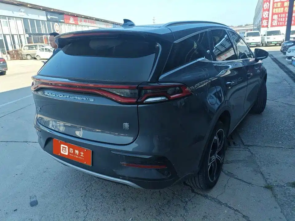 BYD Tang New Energy — фото 2